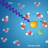 新技术揭示溶剂化壳的隐秘世界