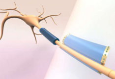 包裹神经元的亚细胞可穿戴设备可以测量和调节电活动