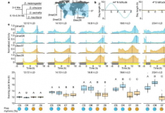 昼夜之间：研究揭示了苍蝇昼夜节律可塑性的遗传基础